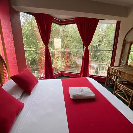 Hotel Alameda Орисаба Экстерьер фото