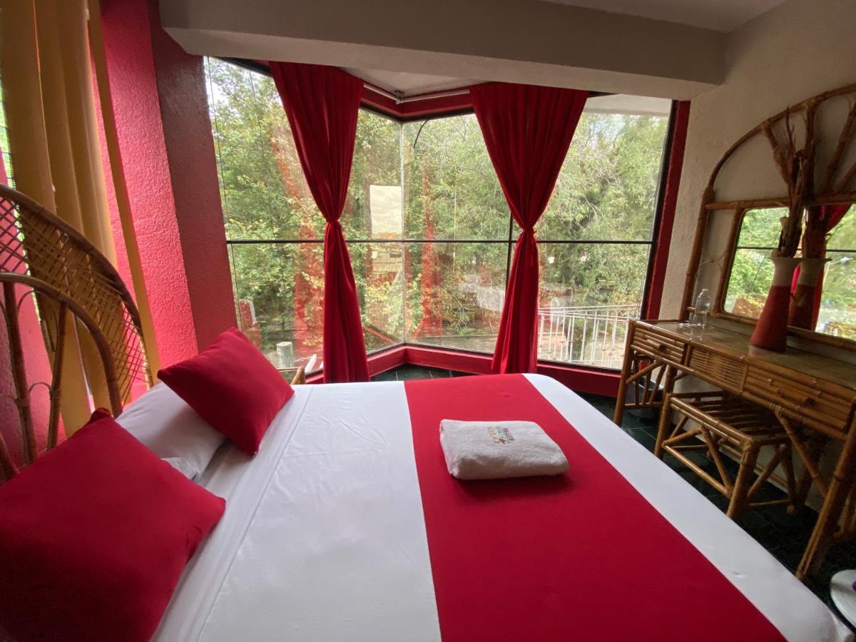 Hotel Alameda Орисаба Экстерьер фото